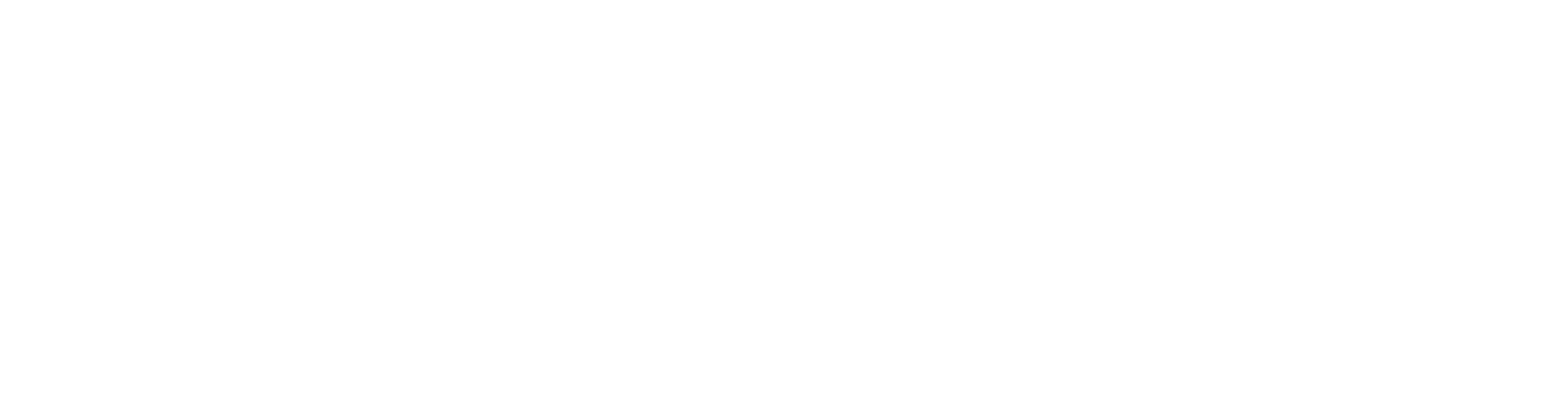International Private Security Academy (IPSA)